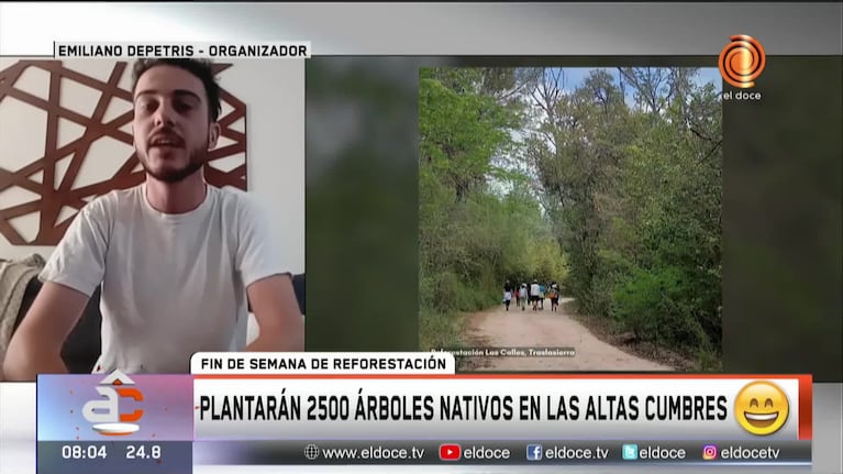 Voluntarios reforestarán las Altas Cumbres con más de 2.500 tabaquillos