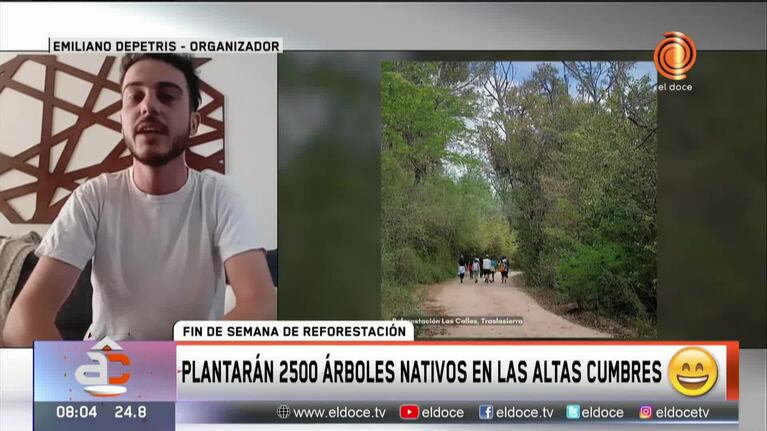 Voluntarios reforestarán las Altas Cumbres con más de 2.500 tabaquillos
