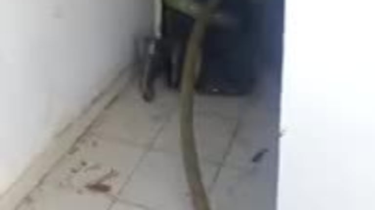 Video: dos heridos graves tras el incendio que destruyó una casa en Córdoba