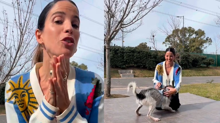 Cande Molfese reveló el sexo de su bebé con la ayuda de sus dos perros