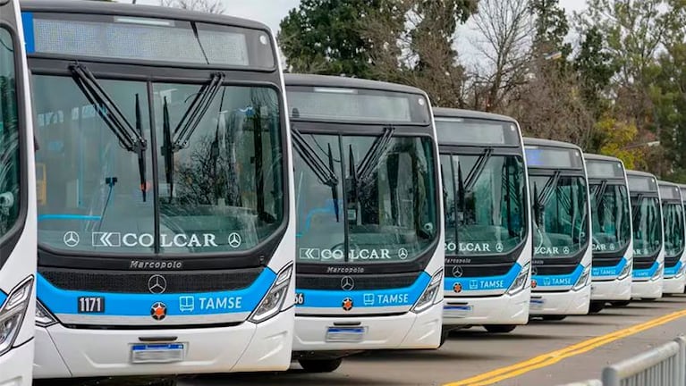 Telenoche mostró los cambios en el transporte urbano de Córdoba