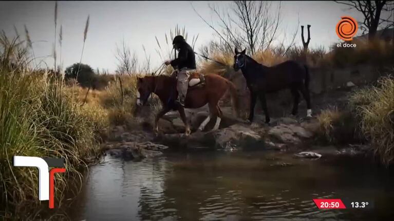Escapar de la ciudad para vivir con caballos