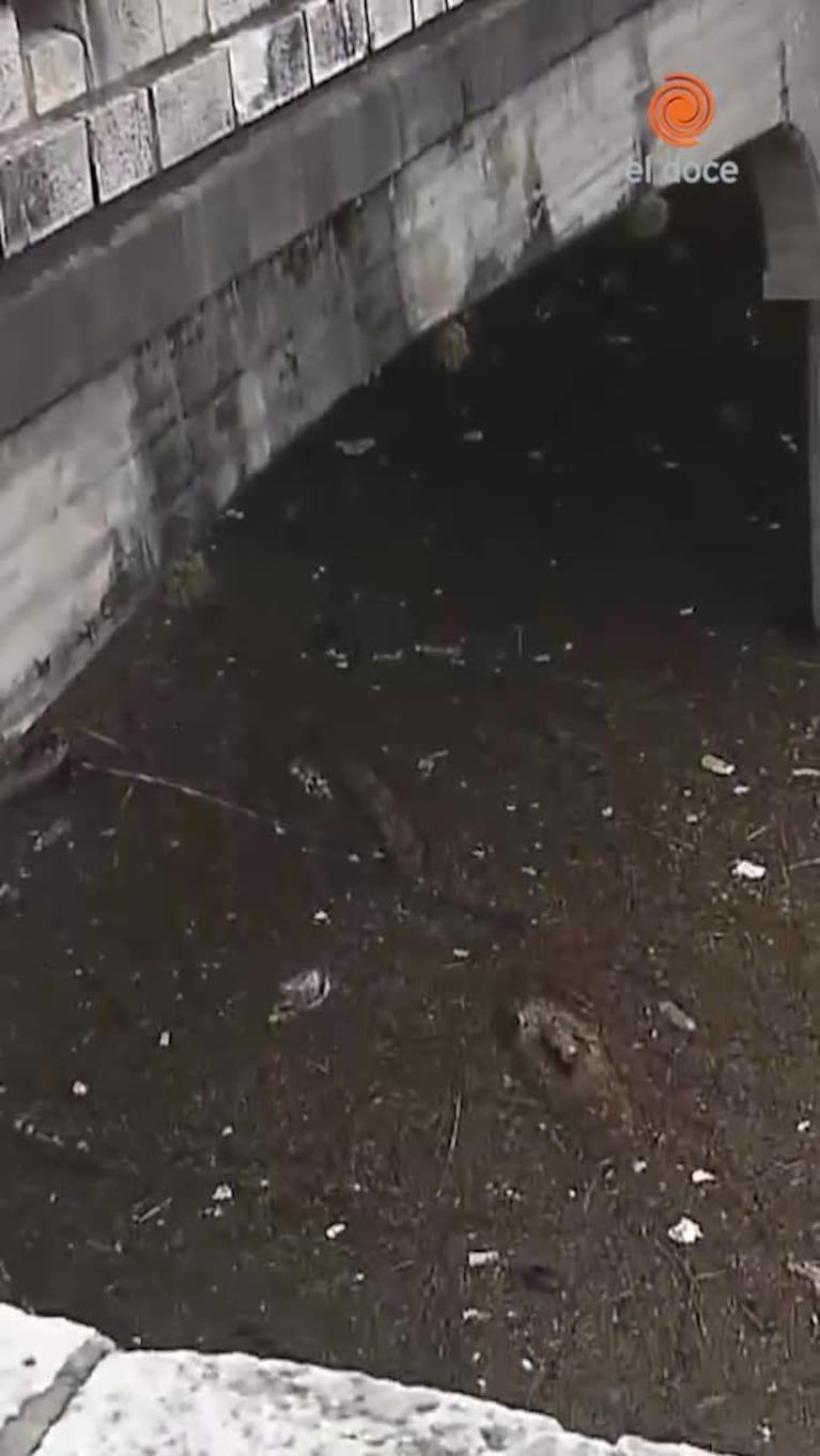 La Cañada plagada de mugre tras la crecida del Suquía