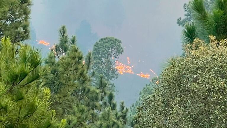 La advertencia del ministro Quinteros sobre el origen del incendio en El Durazno
