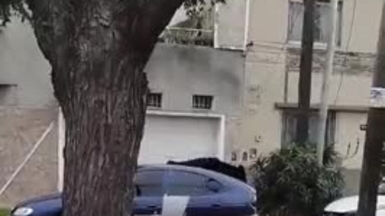 Chocó un camión con vacas