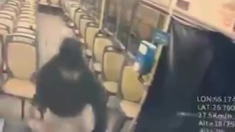 Video: apuñaló al chofer en plena marcha y el colectivo terminó fuera de control