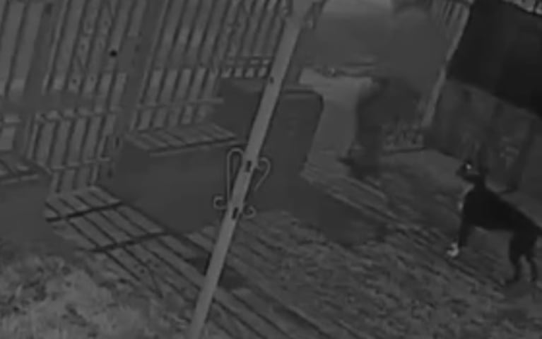 Video Placeholder