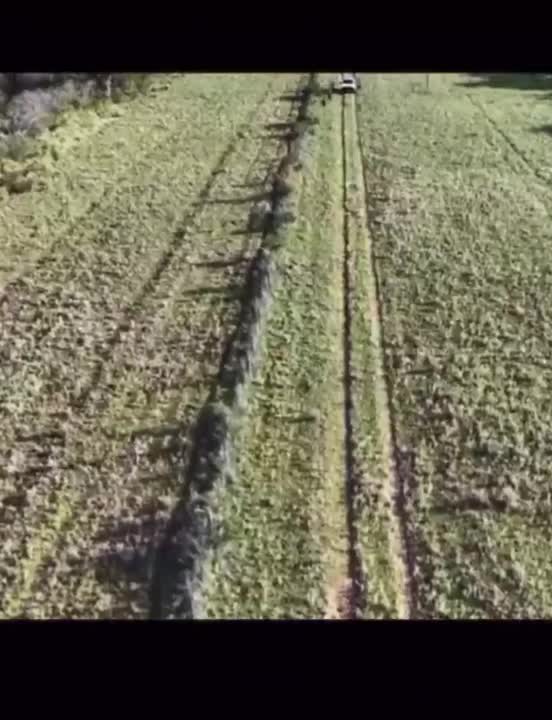 Nena de tres años estuvo perdida cinco horas en un campo de La Pampa