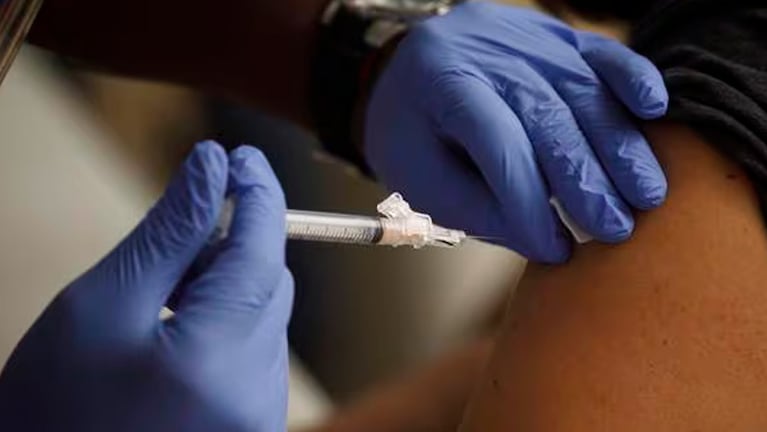 Campaña anti dengue en Córdoba: especialista indicó cuándo es conveniente vacunarse