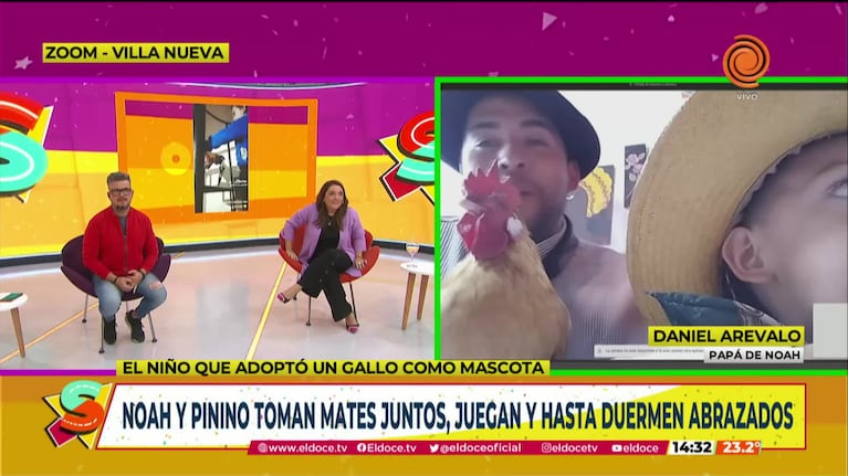 Un niño cordobés adoptó a un gallo como mascota