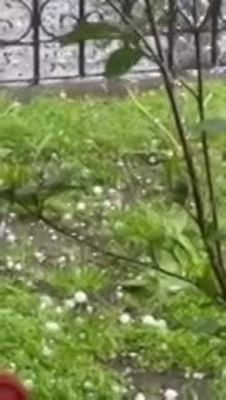 Video Placeholder