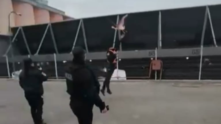 Un flamenco rosa entre los colectivos en la Terminal