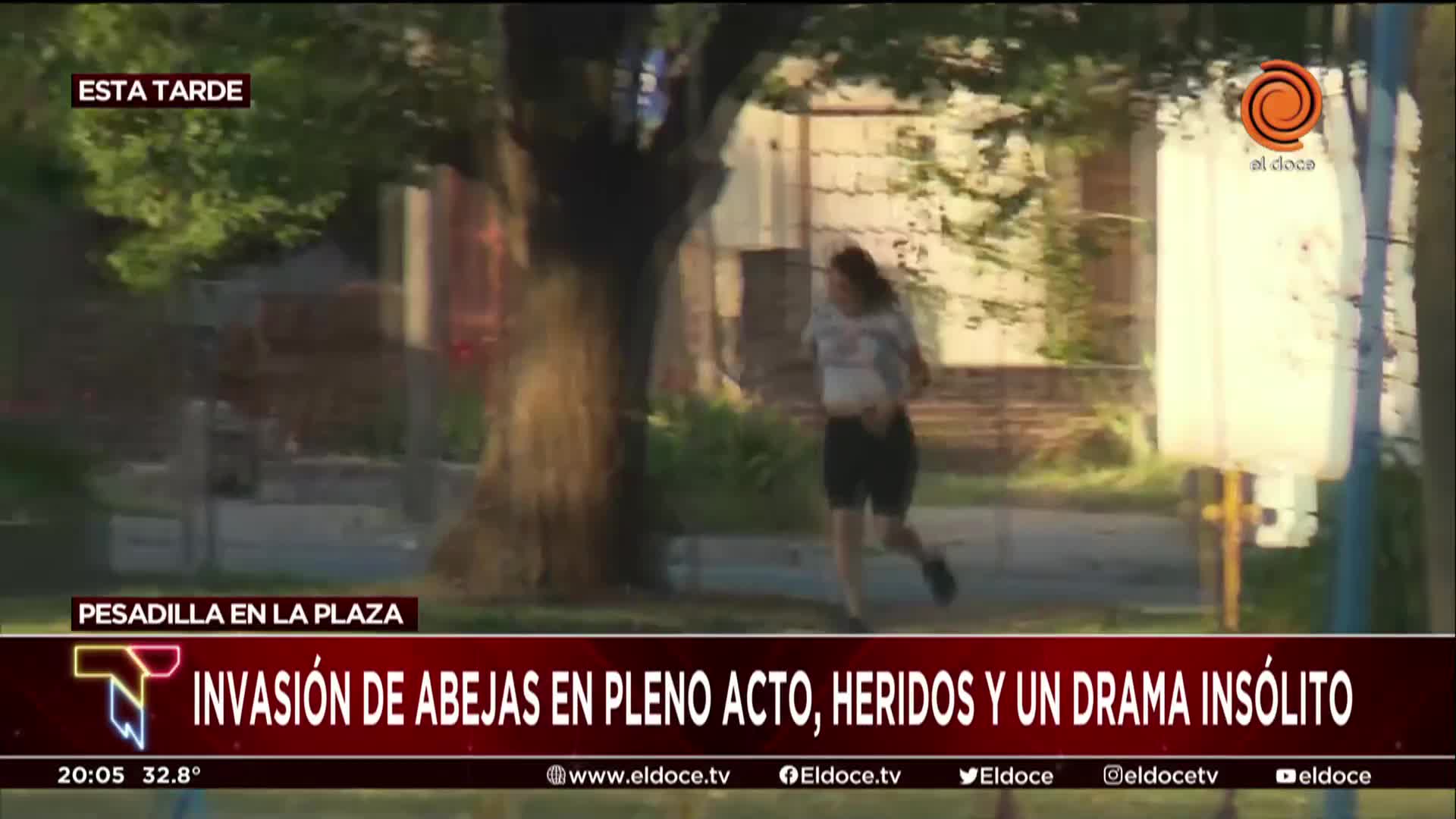 Invasión de abejas en Córdoba: hubo varios vecinos heridos