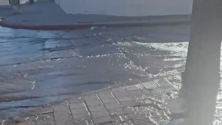 Video Placeholder