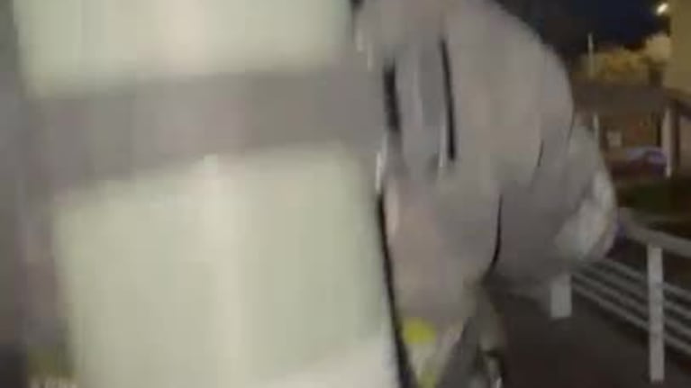 Dramático rescate de un perro
