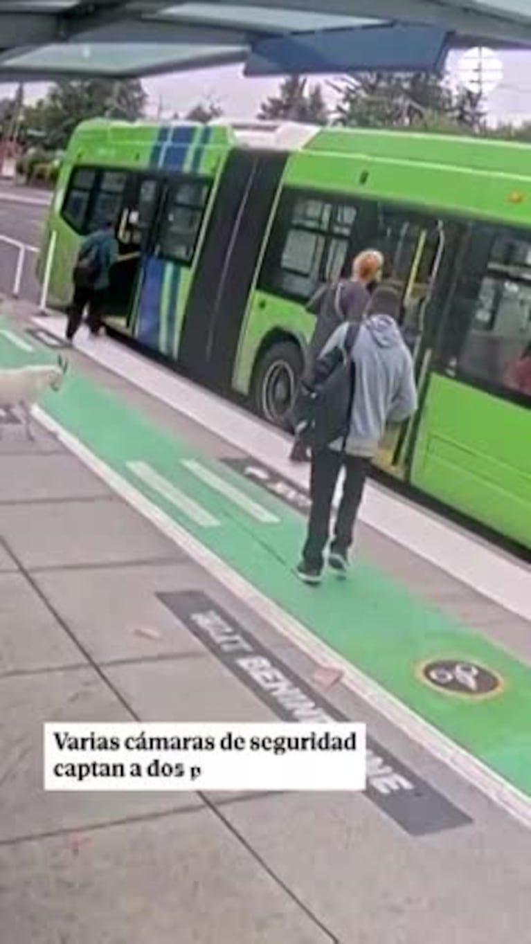 Video Placeholder
