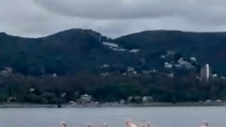 Increíble visita de flamencos en Santa Cruz del Lago