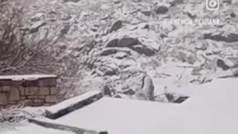 Córdoba bajo cero: así quedó el Champaquí tras la llegada de la nieve a Córdoba