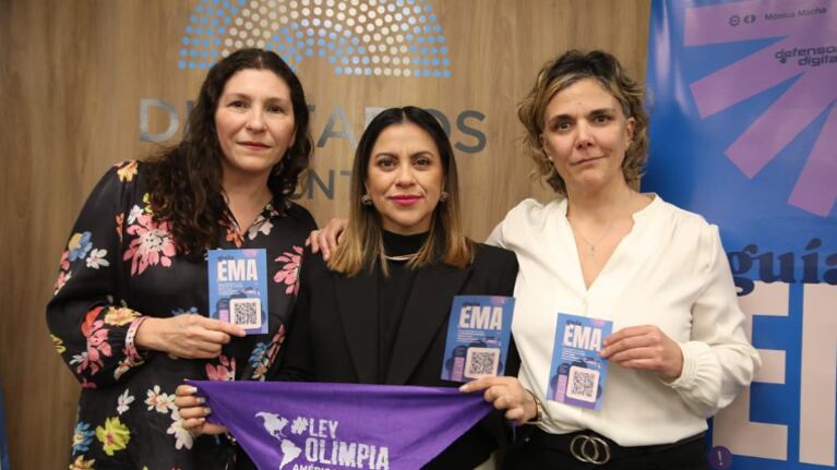 Qué es la Ley “Ema”, el proyecto para frenar la violencia digital