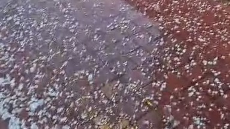 El granizo sorprendió al sur tras el cambio de tiempo