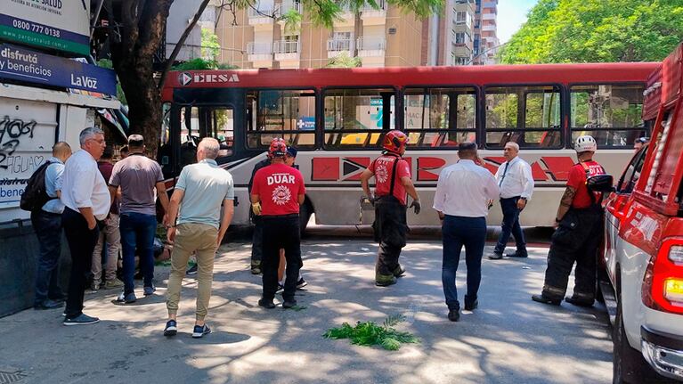 Una mujer contó que viajó en la línea 23 sin frenos: “Tuvimos que bajar con el coche en movimiento”