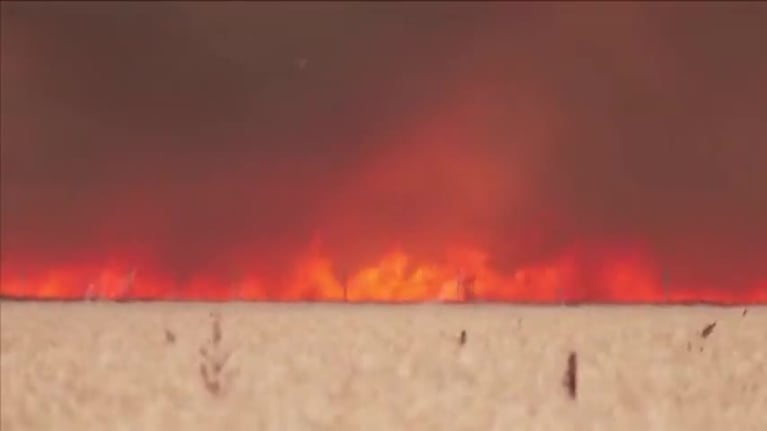 Un agricultor escapó de milagro de un incendio en España