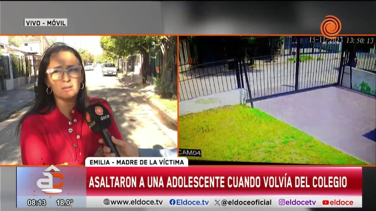 Asaltaron a una adolescente cuando volvía del colegio: el video del ataque
