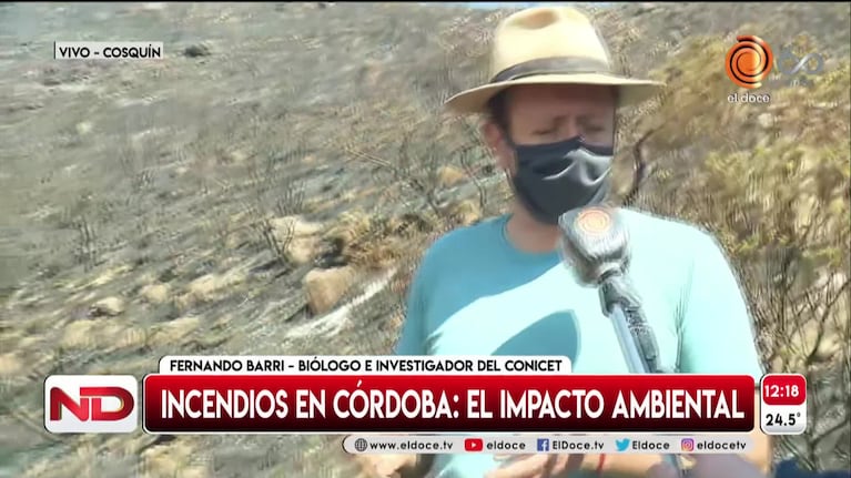 El impacto ambiental tras el paso del fuego en Córdoba