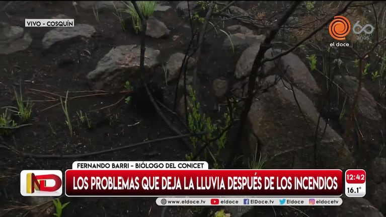 Incendios en Córdoba: los problemas que dejó la esperada lluvia