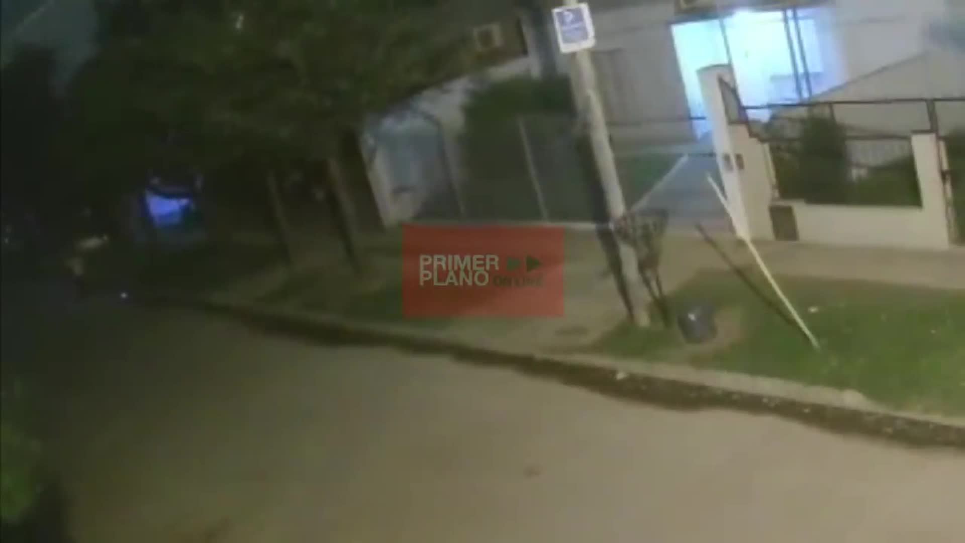 Murió aplastado por un árbol para salvar a su hijo de 3 años