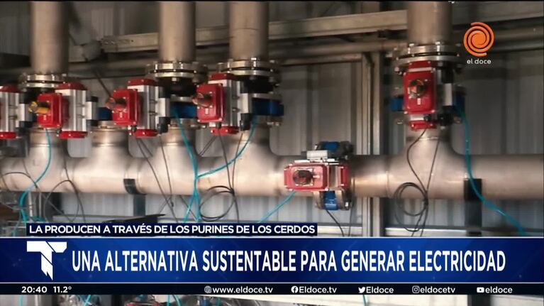 Cómo funciona el campo que abastece de energía a dos pueblos de Córdoba