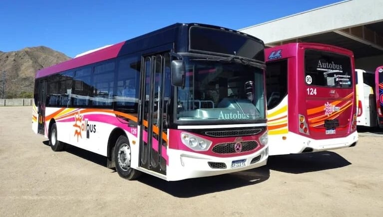 La empresa que llegaría con 70 colectivos para operar el corredor 7 luego de la salida de FAM