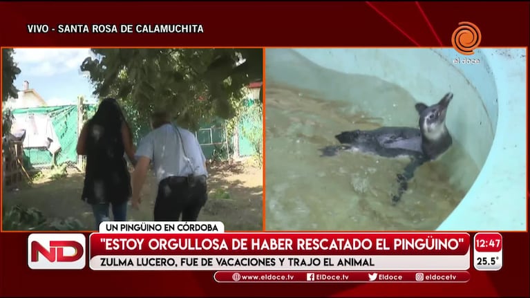 La mujer que atrapó el pingüino se defendió