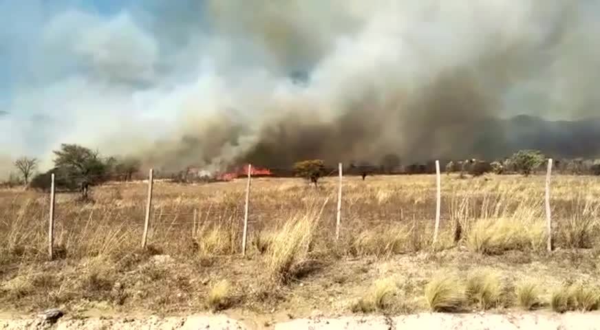 Combaten un incendio en Las Jarillas