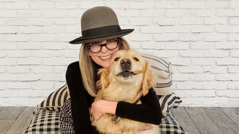 Diane Keaton le dejó una herencia millonaria a su perro: qué dice la ley en Argentina