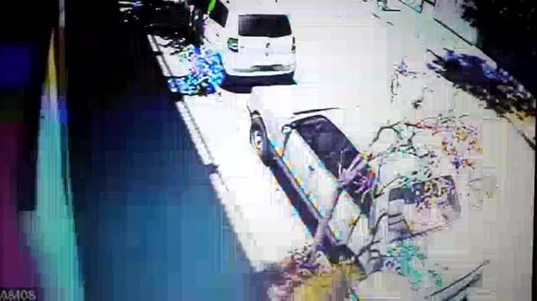 Robó una perra caniche en barrio Providencia