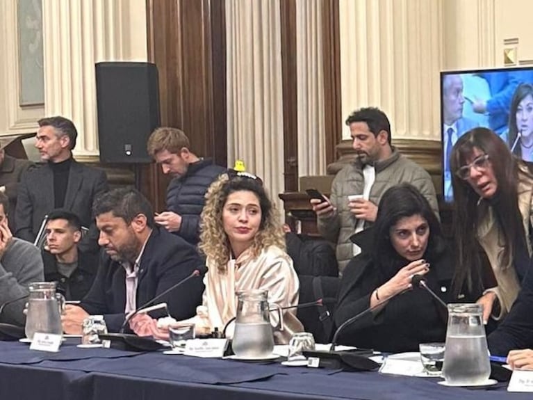 Diputada libertaria fue a una sesión del Congreso con un patito amarillo en la cabeza