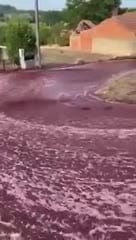 Un río de vino en un pueblo de Portugal