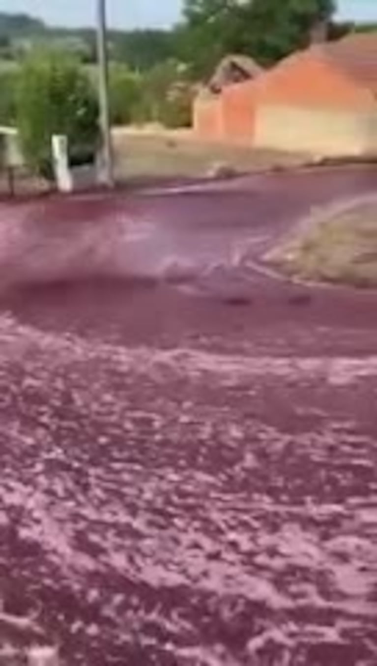 Un río de vino en un pueblo de Portugal