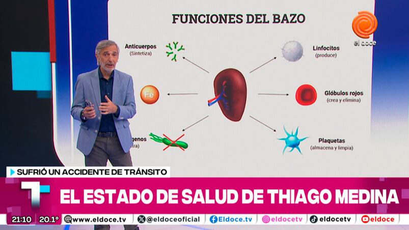 Cómo es vivir sin bazo