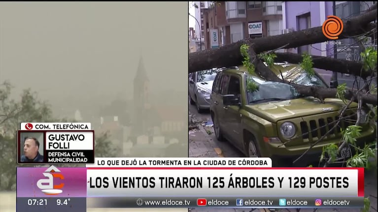 Vientos fuertes en Córdoba: se cayeron 125 árboles y 129 postes