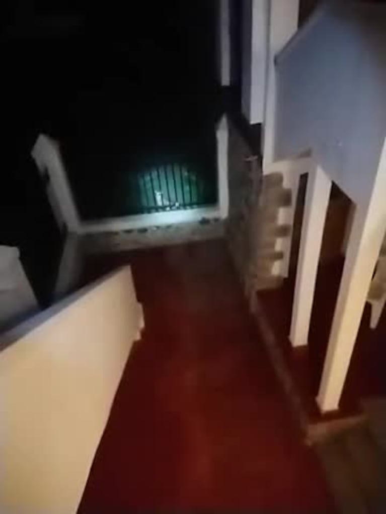 Un puma acecha a viviendas en Ascochinga
