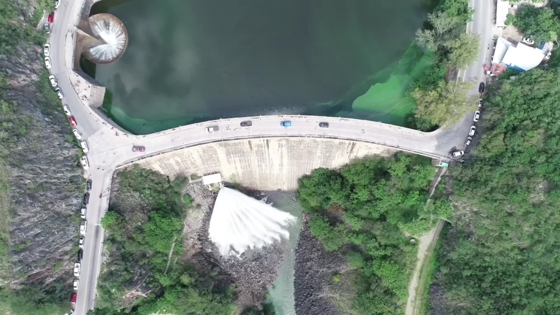 La majestuosa "cola de novia" en el lago San Roque