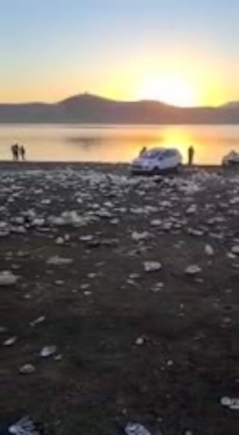 Así quedó la costa del lago tras los festejos