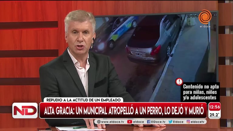 El enojo de proteccionistas con el empleado municipal que mató a un perro