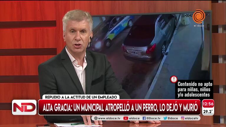 El enojo de proteccionistas con el empleado municipal que mató a un perro