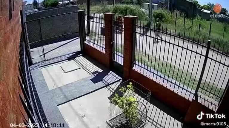 Fue sorprendida por motochoros y los enfrentó