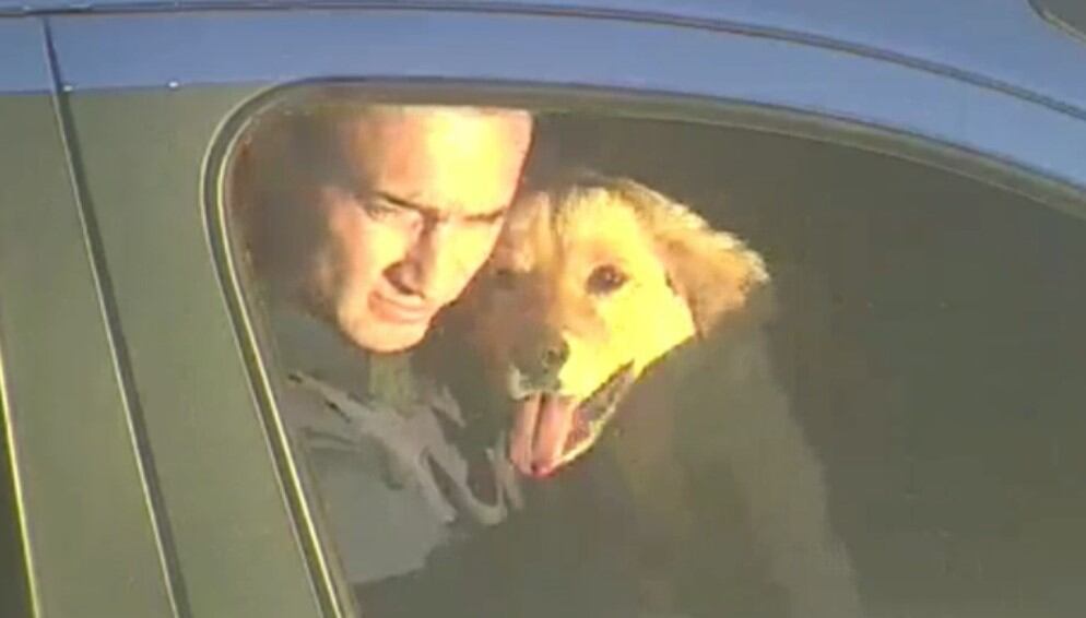 El reencuentro de un joven con su Golden Retriever horas después de ser robada