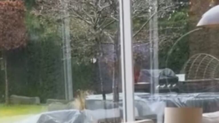 El "bebé gordo" relajadísimo en un sillón