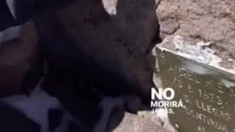 Subió al Aconcagua en homenaje a su padre